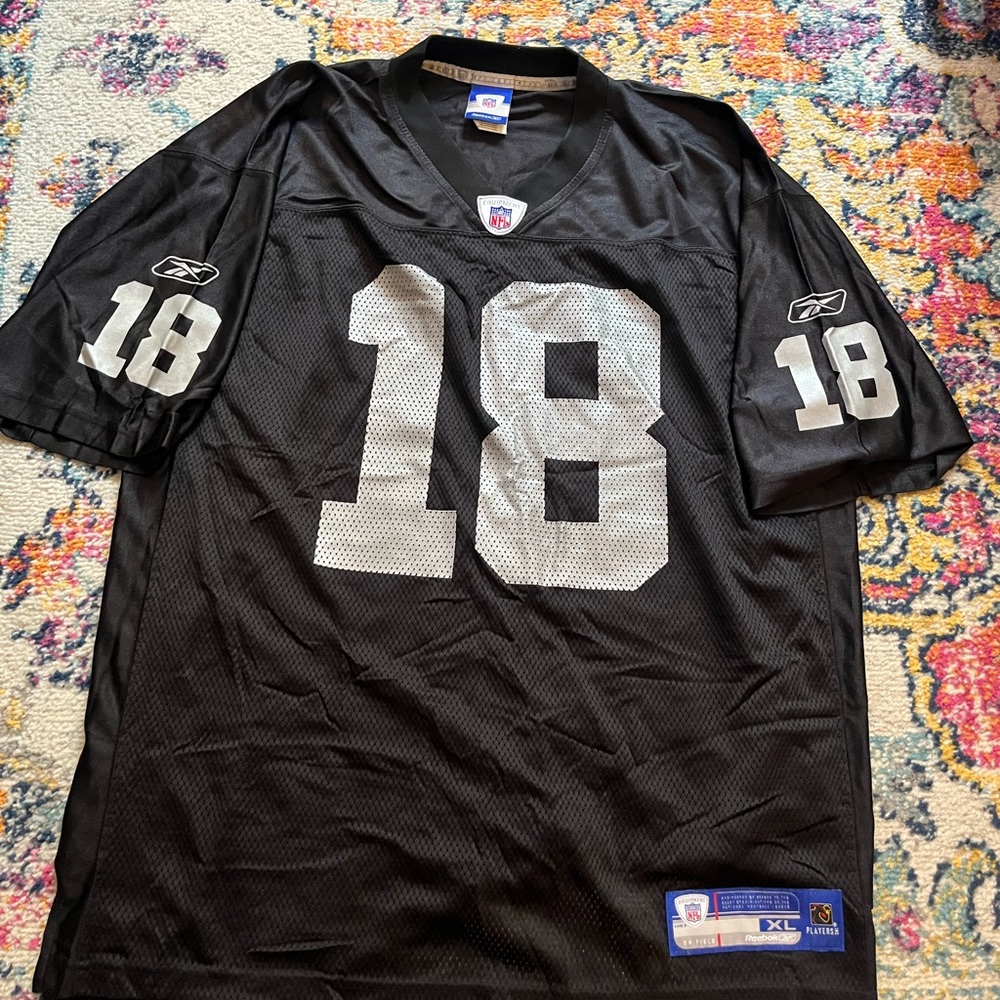 Randy Moss Las Vegas (Oakland) Raiders NFL Jersey